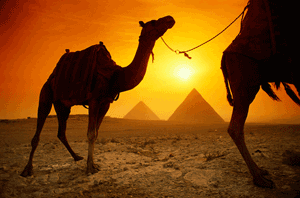 photo_lg_egypt.gif